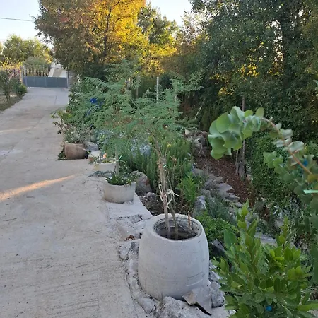 Apartament Marija *