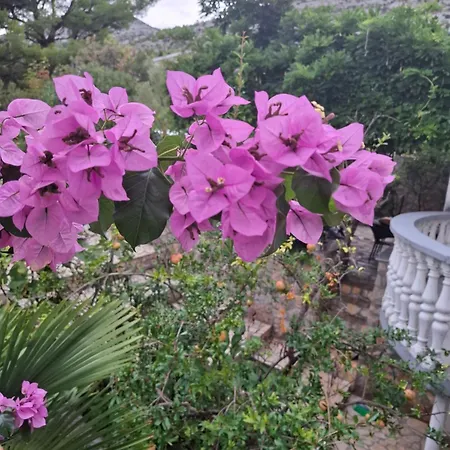 アパート Marija *