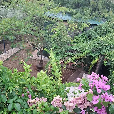 Marija Apartament Starigrad Paklenica