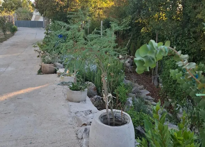 Apartamento Marija *